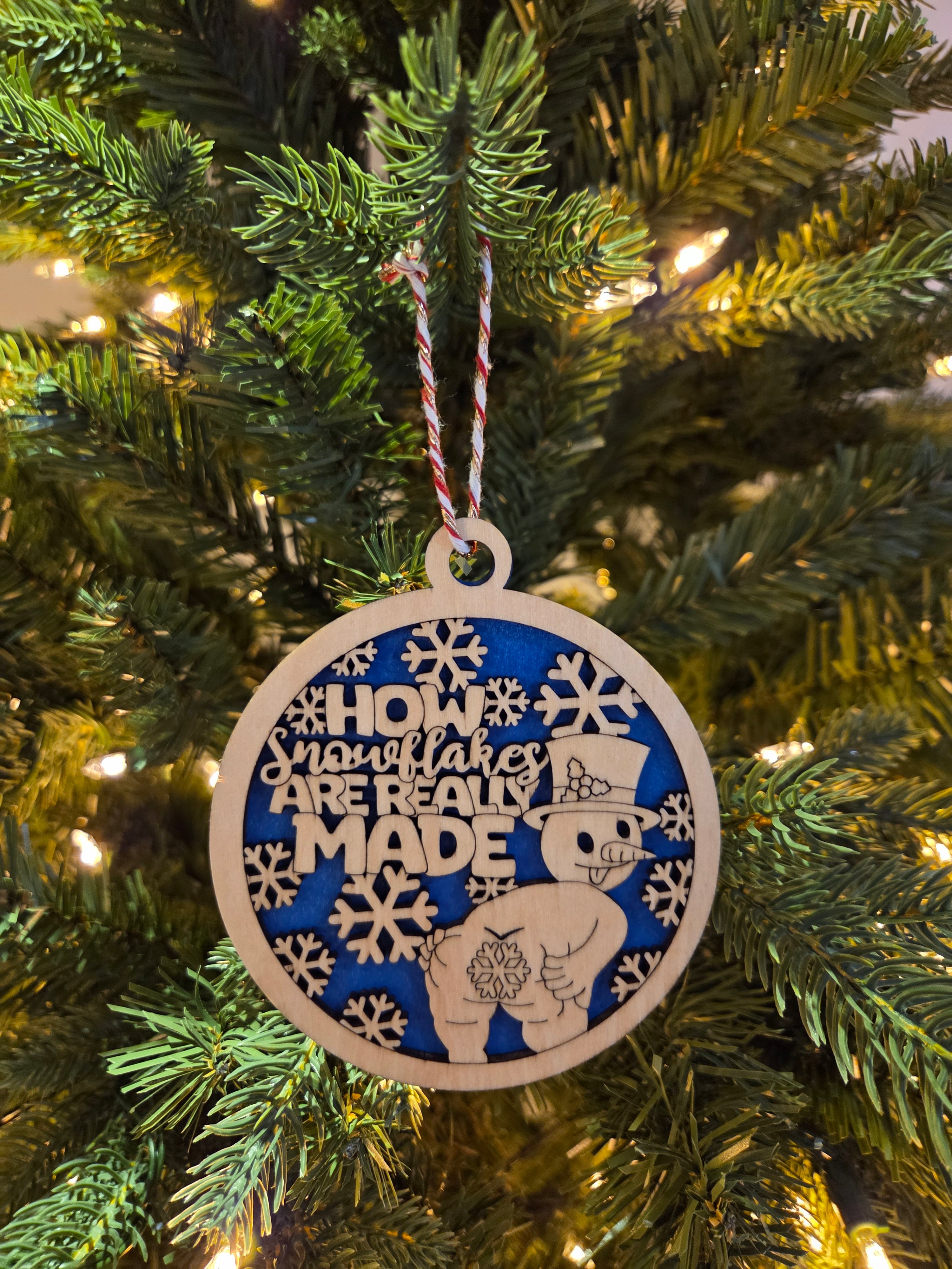 How snowflakes are really made ornament